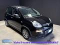 usato FIAT Panda