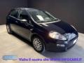 usato FIAT Punto