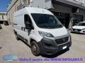 usato FIAT Ducato
