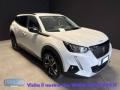 usato PEUGEOT 2008
