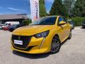 usato PEUGEOT 208