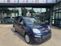 usato FIAT Panda