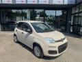usato FIAT Panda