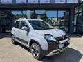 usato FIAT Panda Cross
