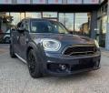 usato MINI Countryman
