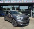 usato MINI Countryman