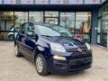 usato FIAT Panda