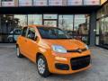 usato FIAT Panda