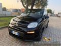 usato FIAT Panda
