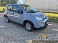 usato FIAT Panda