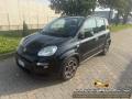 usato FIAT Panda