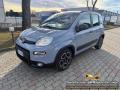 usato FIAT Panda