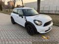 usato MINI Countryman