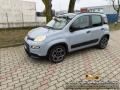 usato FIAT Panda