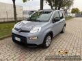usato FIAT Panda
