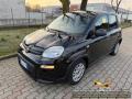 usato FIAT Panda