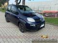 usato FIAT Panda