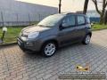 usato FIAT Panda