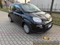 usato FIAT Panda