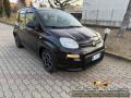 usato FIAT Panda