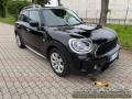usato MINI Countryman