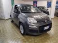 usato FIAT Panda