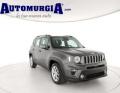 usato JEEP Renegade