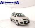 usato FIAT Panda