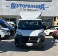 usato FIAT Ducato