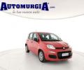 usato FIAT Panda