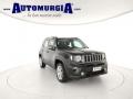 usato JEEP Renegade