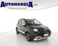 usato FIAT Panda Cross