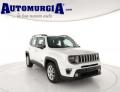 usato JEEP Renegade