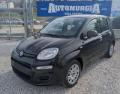 usato FIAT Panda