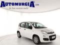 usato FIAT Panda