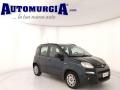 usato FIAT Panda