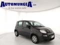 usato FIAT Panda