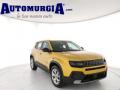 usato JEEP Avenger
