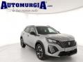 usato PEUGEOT 2008