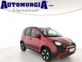 usato FIAT Panda Cross