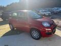 nuovo FIAT Panda