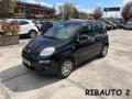 usato FIAT Panda