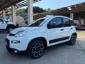 usato FIAT Panda