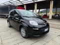 usato FIAT Panda