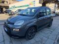 usato FIAT Panda