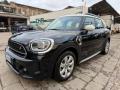 usato MINI Countryman