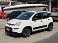 usato FIAT Panda