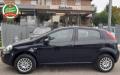 usato FIAT Punto