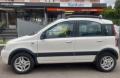 usato FIAT Panda