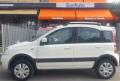 usato FIAT Panda